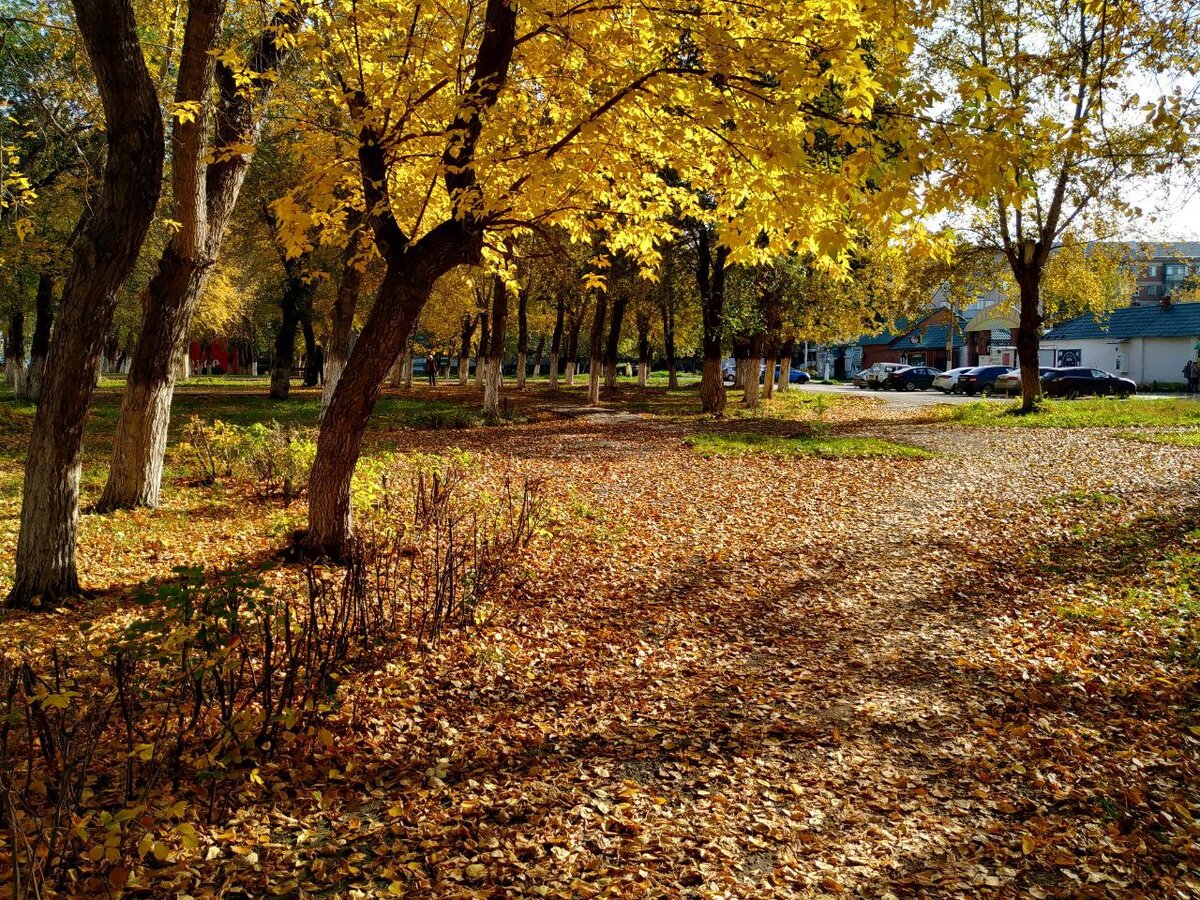 Сейчас сквер выглядит так. Фото: пресс-служба челябинской мэрии 