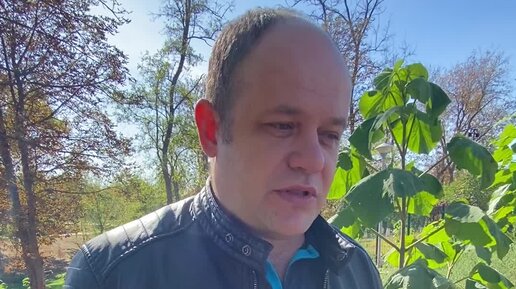 Глава красного. Глава красного Сулина Ростовской