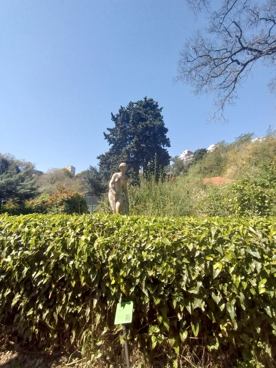 Мой любимый ботанический сад, как оказалось, он больше, чем мы думали, а значит, мы точно туда вернемся 