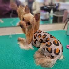 Фото с просторов 