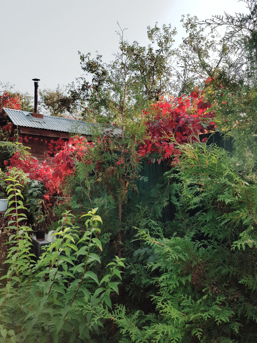 на даче в октябре