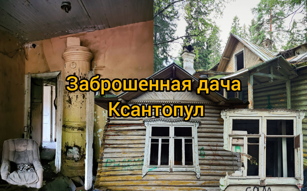 Фото: Парадная гостья