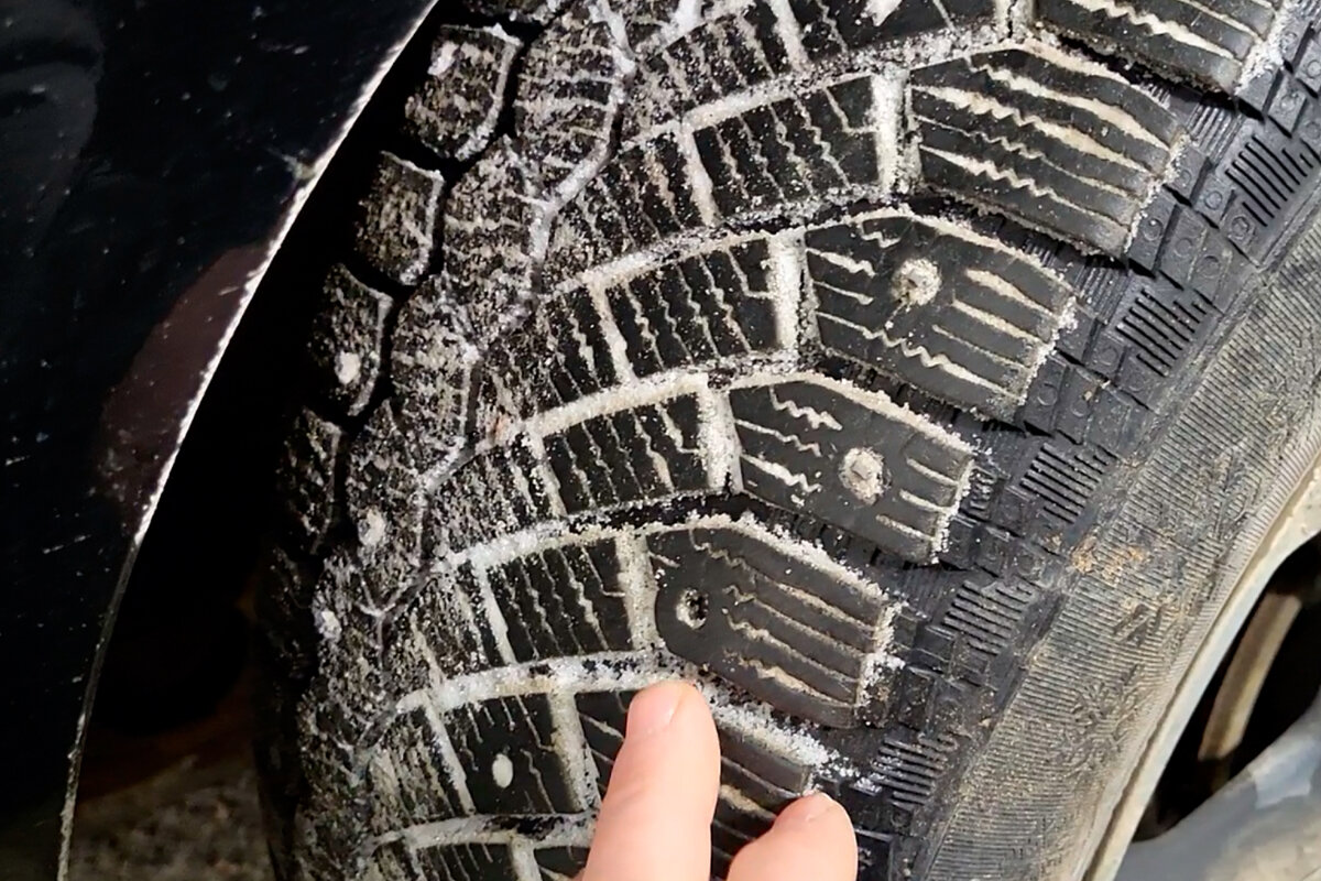 наклейка на авто шипы медведь. раллийная шипованная резина. побеги шиповника на розе. размеры ремонтных шипов для зимней резины. шипы для резины 8х10.