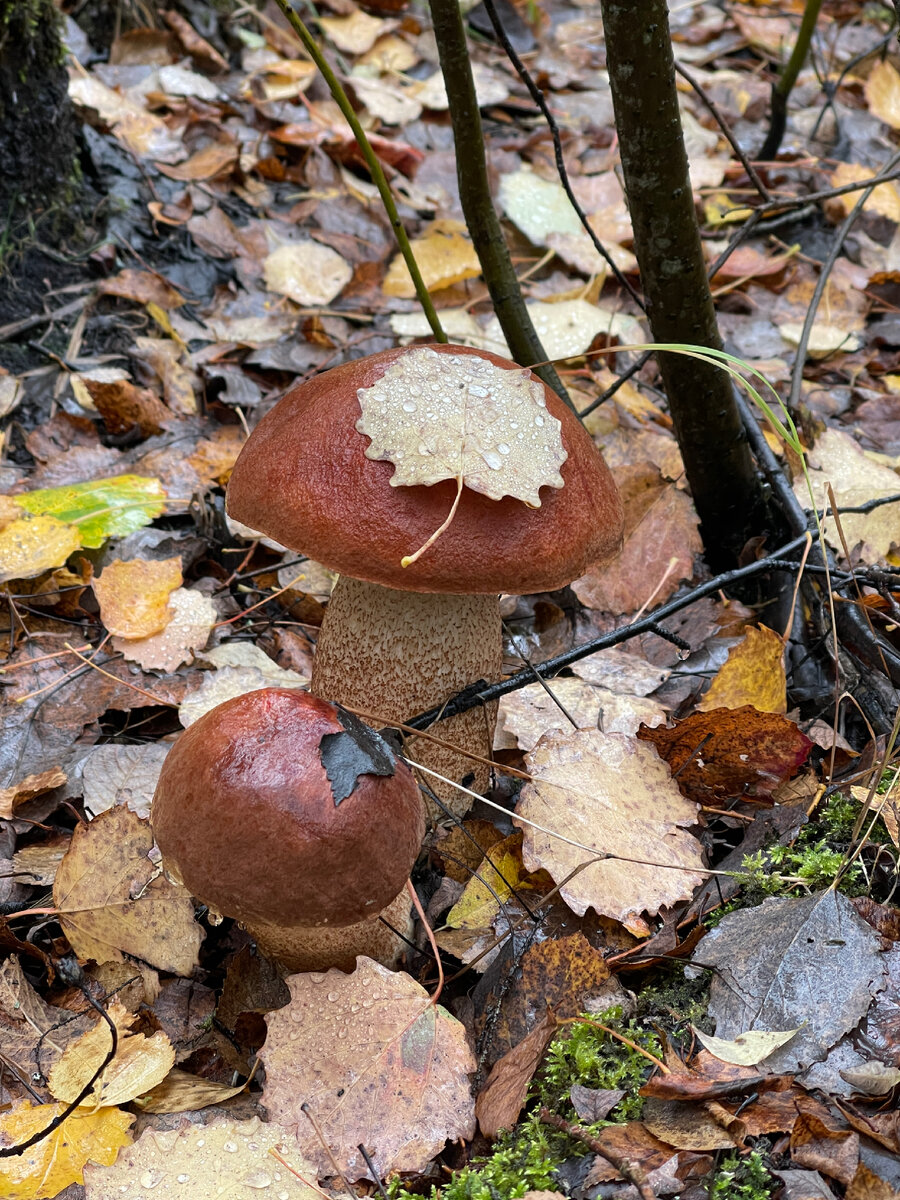 Мамин отдых😊