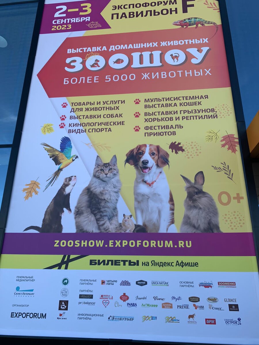 Афиша выставки