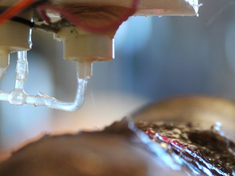    Напечатанная кожа регенерируется на теле, как настоящая