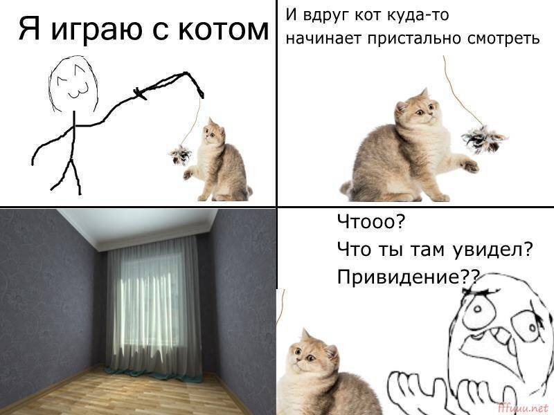 Песня почему котикам. Кошка уставилась в одну точку. Кот уставился в стену. Кот сидит мордой к стене. Мемы коты на стену.