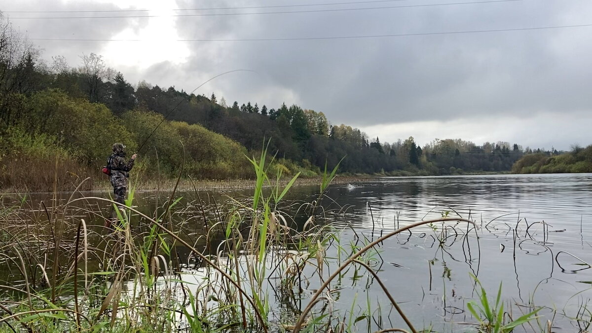 Махлыстовая рыбалка осенью