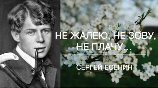 Есенин не зову не плачу жалею слушать