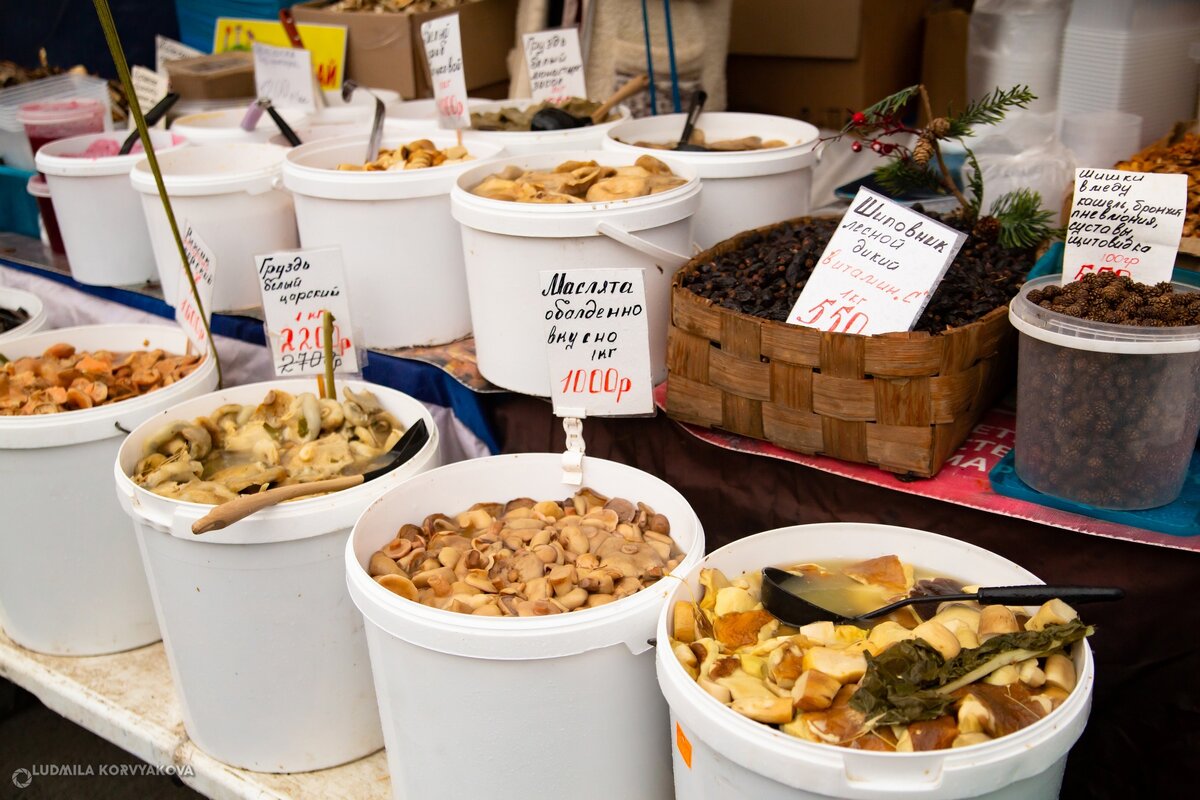    В Петрозаводске открылась осенняя сельскохозяйственная ярмарка Людмила Корвякова