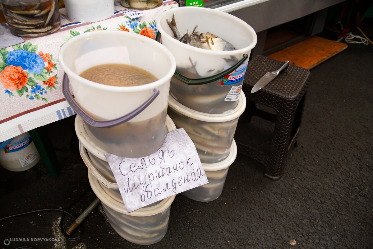    В Петрозаводске открылась осенняя сельскохозяйственная ярмарка Людмила Корвякова
