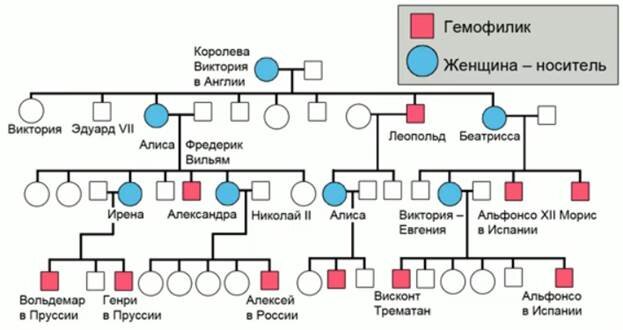 Родословная рахманинова схема генетика