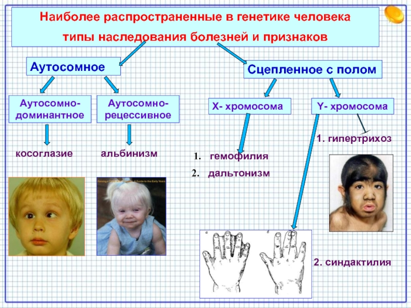 Что такое наследственные заболевания и как с ними быть?