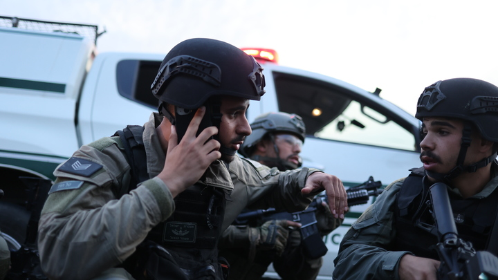 ФОТО: ILIA YEFIMOVICH/GLOBALLOOKPRESS 