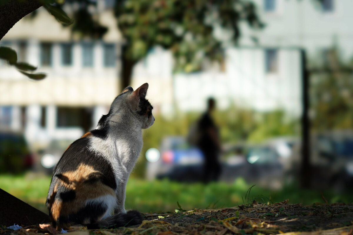 Фото: Сергей Леонов. 