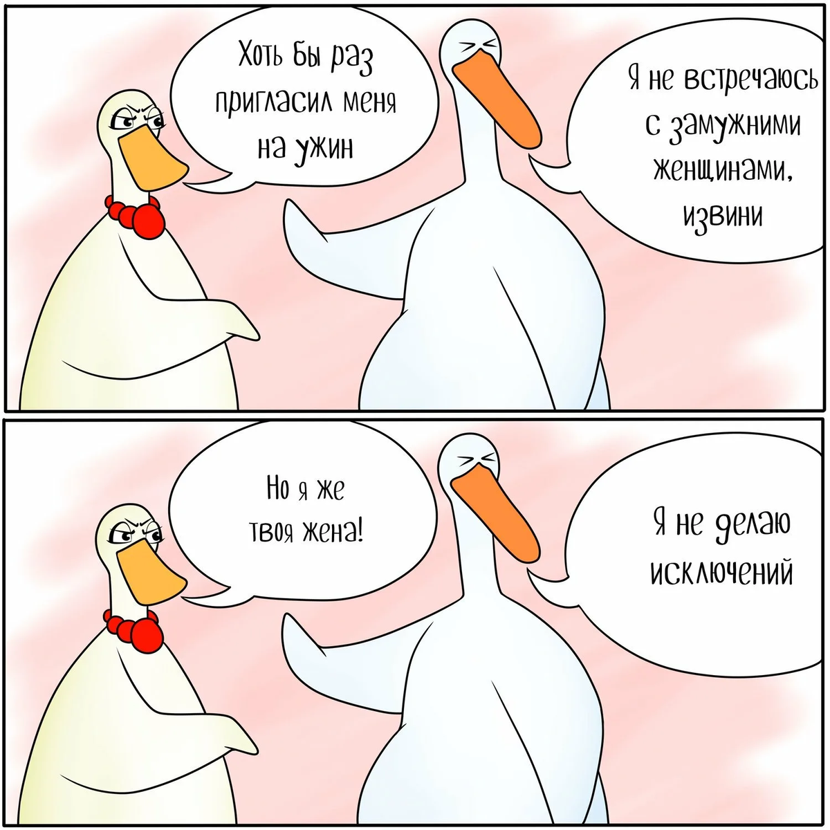Приколы про уток