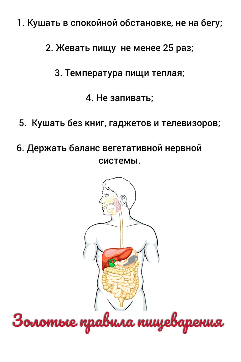 Золотые правила хорошего пищеварения | ЧиСТОпитание с Лейлой Шафиковой |  Дзен