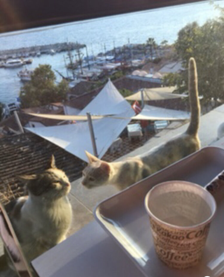 В том самом кафе в кадр 