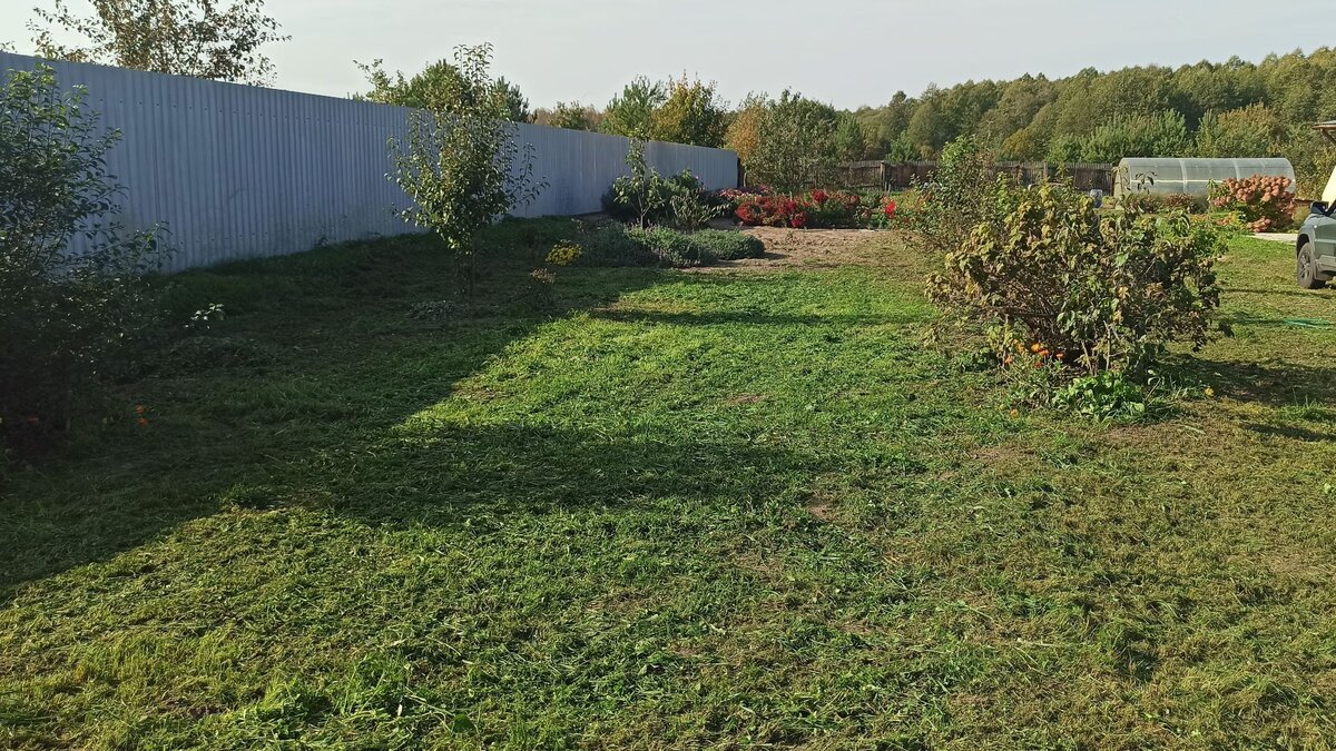 Хорошо, что скосить что-то успели на неделю раньше