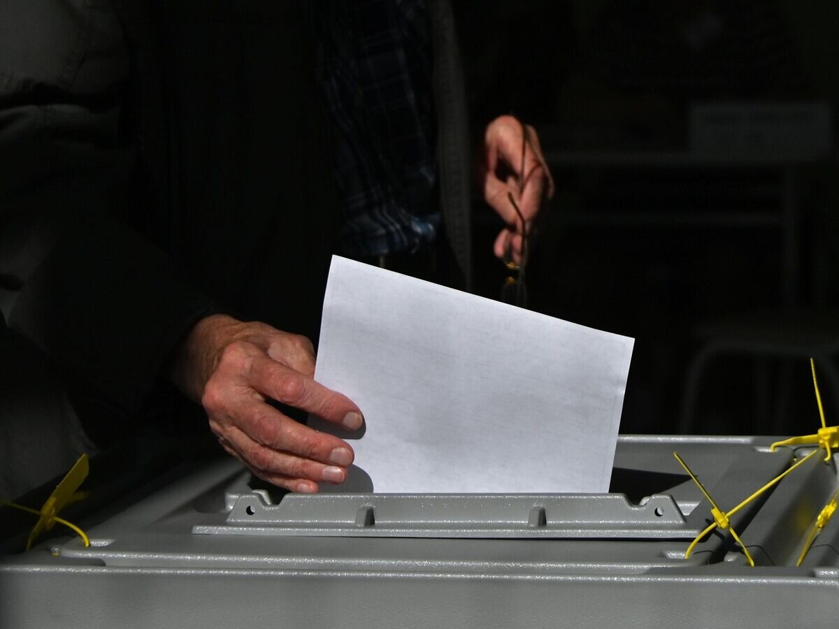 голосование 100