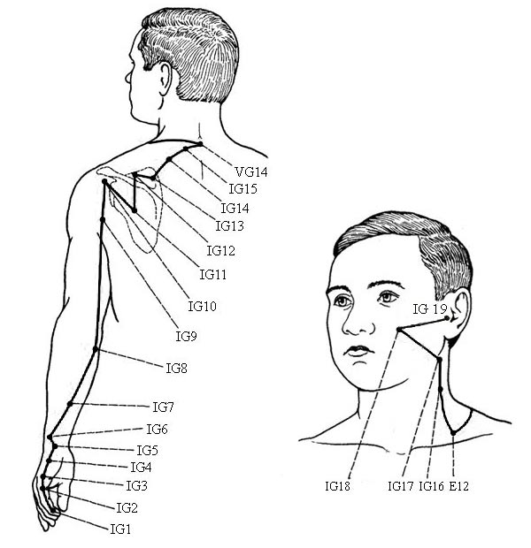 Меридиан тонкого кишечника