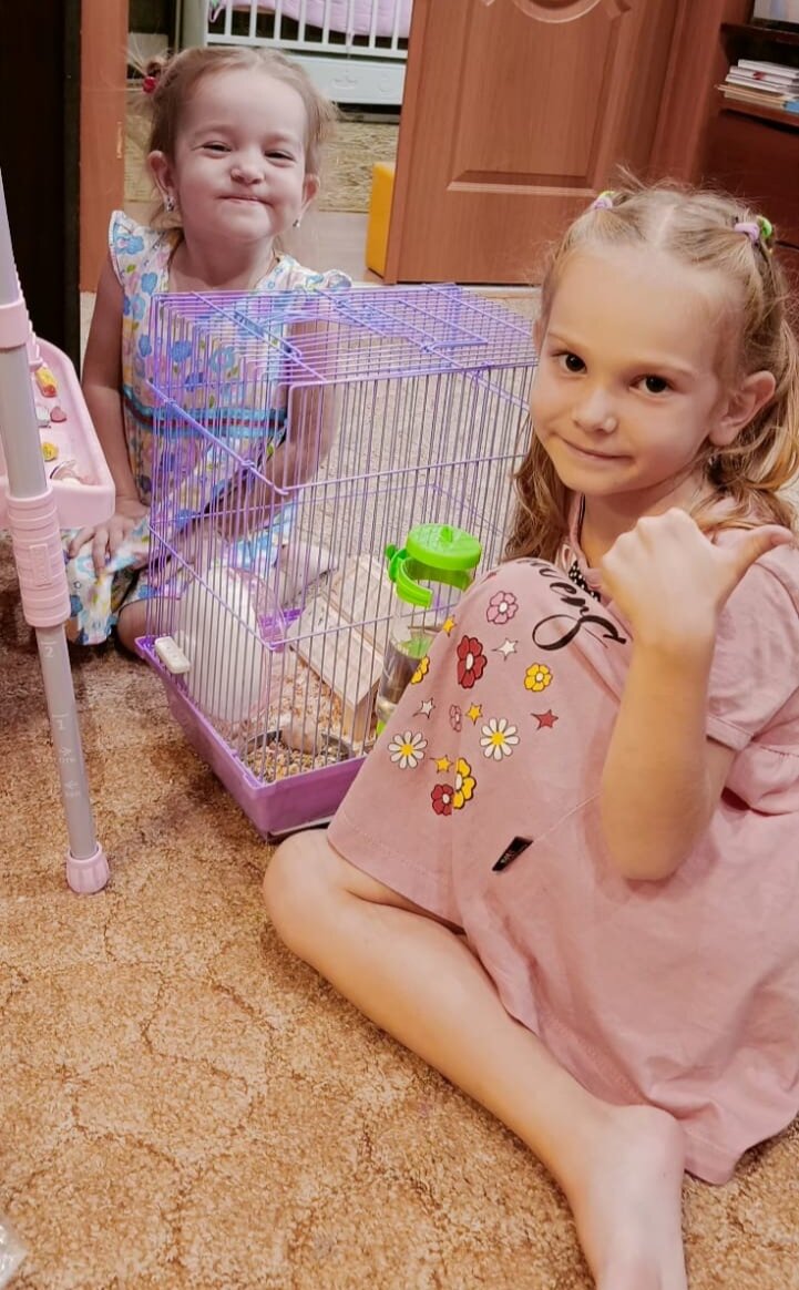 Мы завели хомяка 