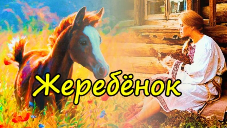 Жеребёнок