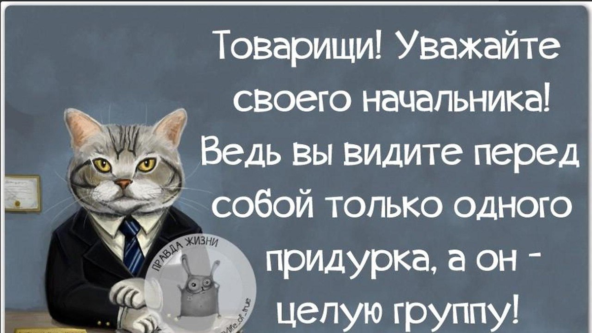 Уже перед вечером начальник собрал. Цитаты про начал ников. Цитаты про начальника. Высказывания про начальство. Товарищи уважайте своего начальника