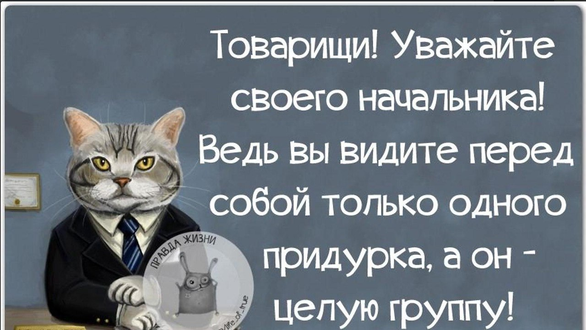 Уважаемую должность. Цитаты про начал ников. Цитаты про начальника. Высказывания про начальство. Товарищи уважайте своего начальника.