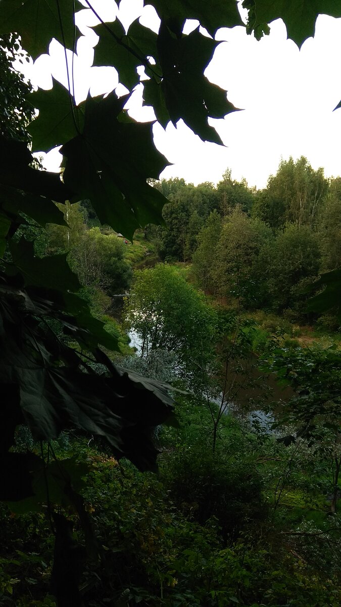 Парк в Мурино