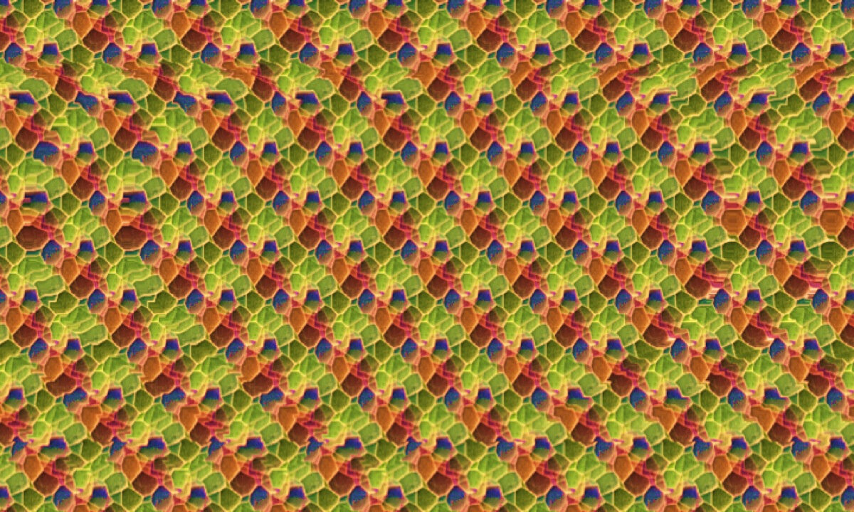 Автостереограмма сердца. Scholarpedia