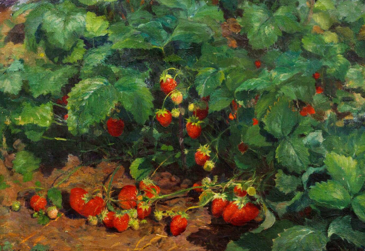 Федот Сычков, Клубника, 1910 г.