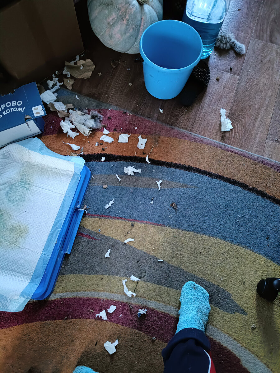 Что-то давно не убиралась, похоже.