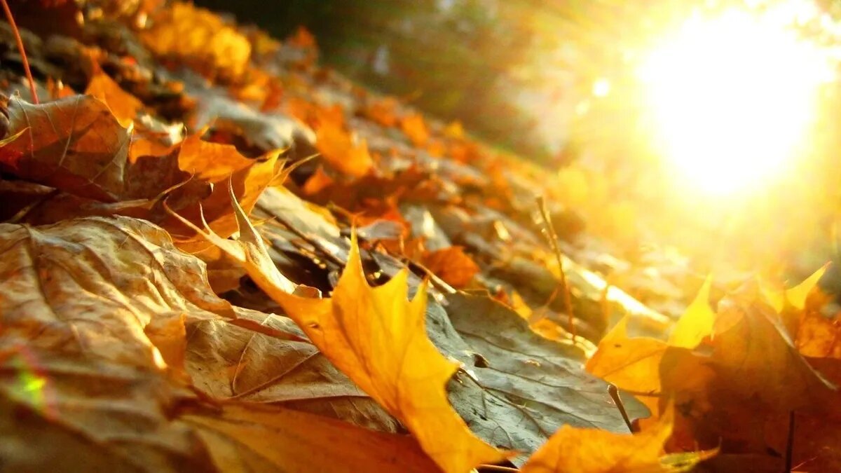 Геоудары проявляют свою агрессию в самые неожиданные моменты. Фото: pxhere.com