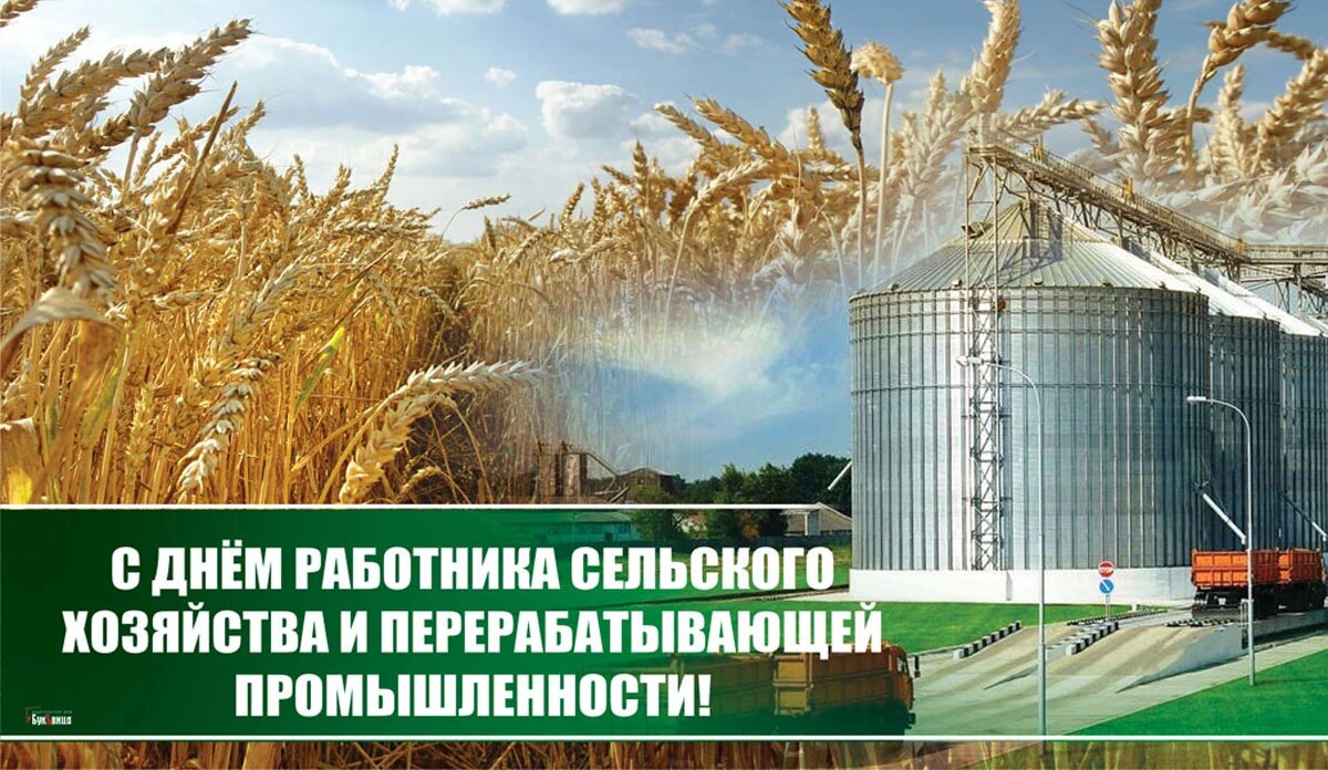 С днём работника сельского хозяйства — картинки, поздравления на 8 октября 2023