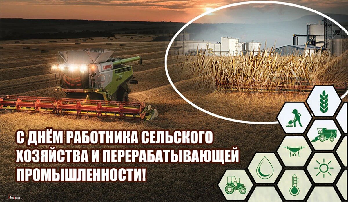 День работника сельского хозяйства и перерабатывающей промышленности. Иллюстрация: «Курьер.Среда»