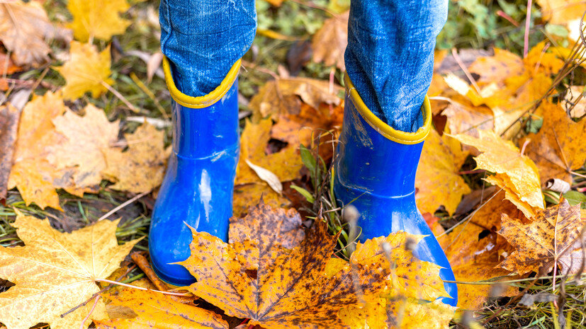   Gettyimages.ru Alla chesnokova