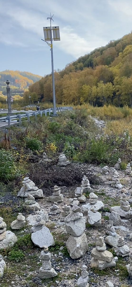 Фото автора.