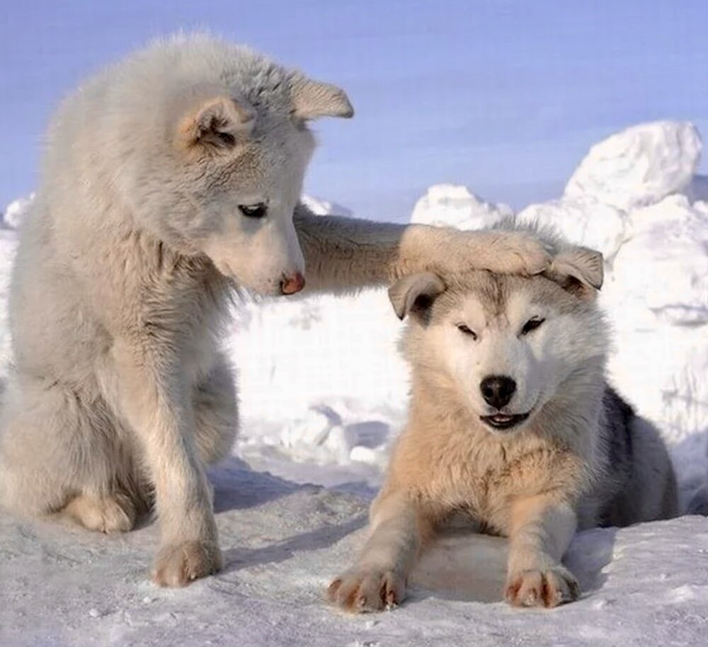 Доброта в мире всегда