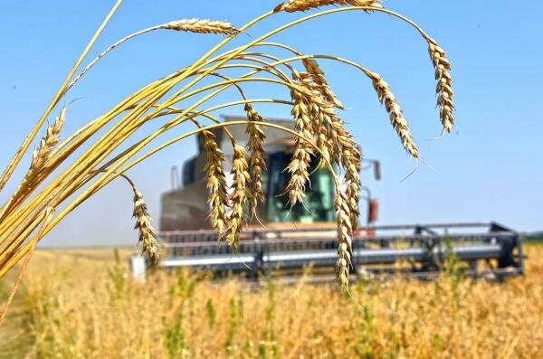    Денис Паслер поздравил аграриев Оренбуржья с профессиональным праздником Андрей Севостьянов