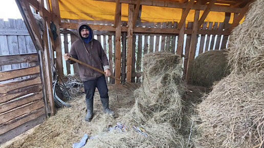 ЧТО СО ВСЕМ ЭТИМ ДЕЛАТЬ? ХВАТИТ ЛИ НАМ ЗАПАСОВ НА ЗИМУ? НАША ФЕРМА! ЖИЗНЬ ПРОСТЫХ ЛЮДЕЙ В ДЕРЕВНЕ!