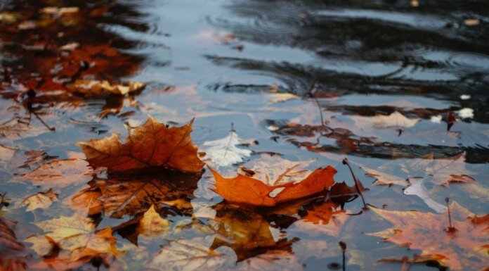    Фото: unsplash.com