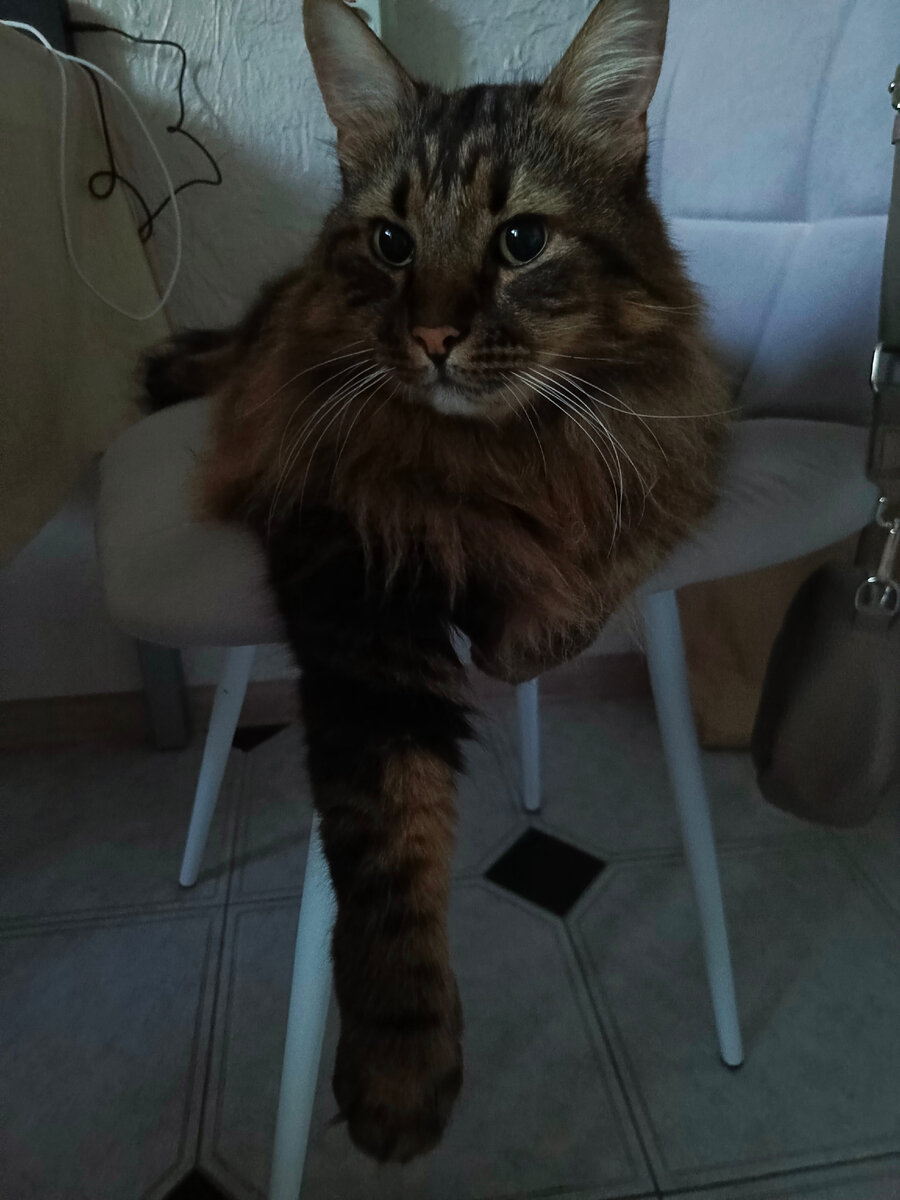 Кузя красавчик