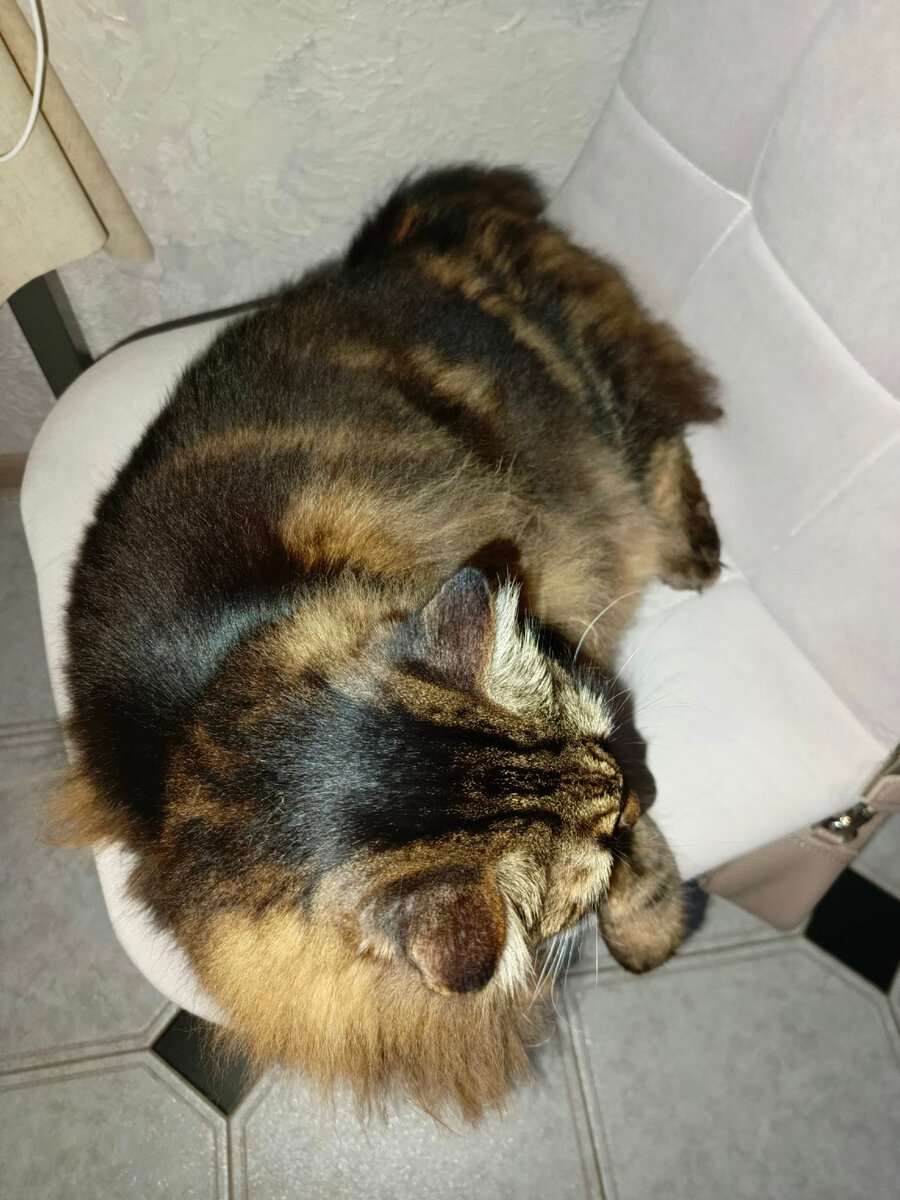 Важный Кузя