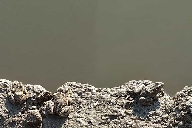    Фото предоставлено Алексеем Яновским