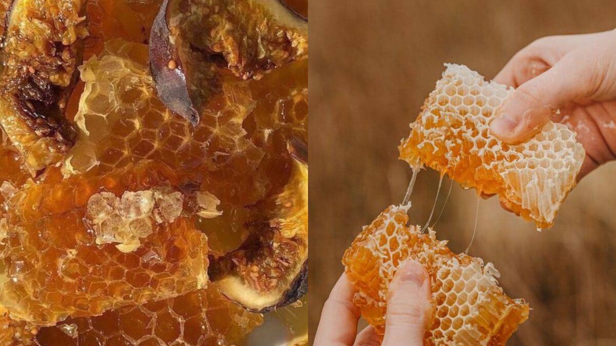 Можно ли при похудении мед вместо сахара