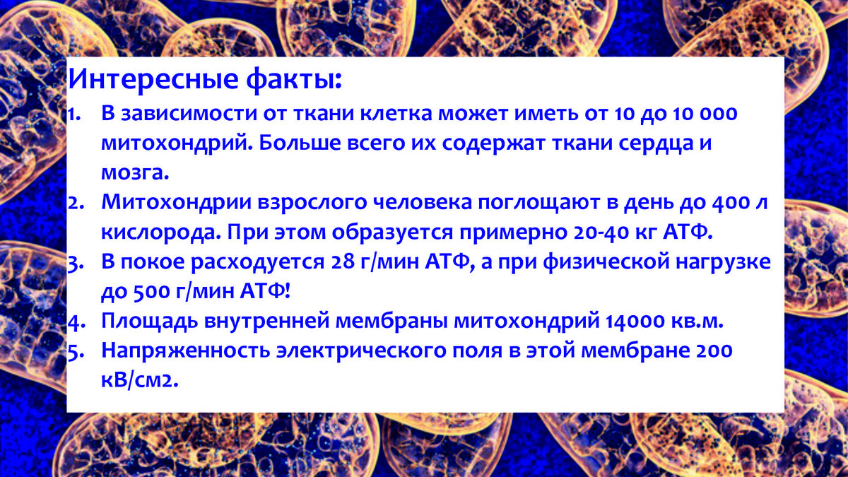 В детстве казалось, что после тридцати - это уже старость. Слава Богу,  показалось! | Блог эндокринолога | Дзен