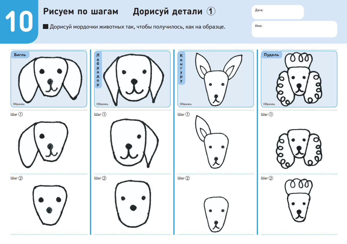 Раскраска мордочки животных | ugooff.ru