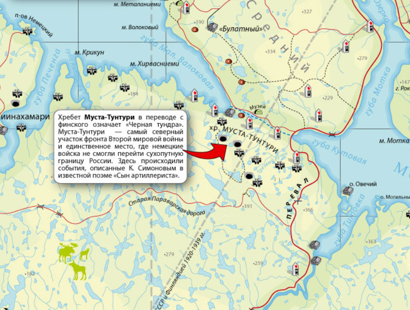 Оборона МУСТА-Тунтури карта. Карта полуострова Рыбачий и средний. Линия фронта МУСТА Тунтури. МУСТА Тунтури карта боевых действий 1941.