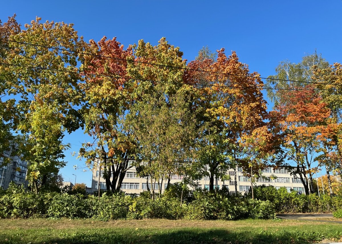 Около 22 школы со стороны ул. Ялагина.